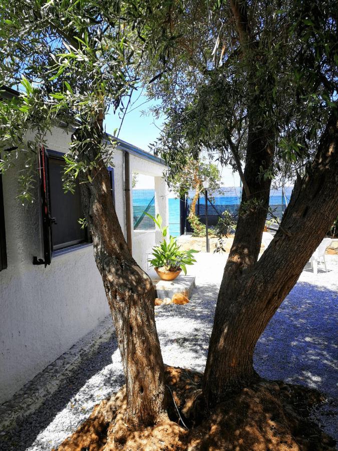 Villa La Plaja Cefalu Luaran gambar